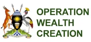 Operation Wealth Creation