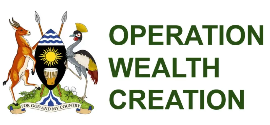 Operation Wealth Creation